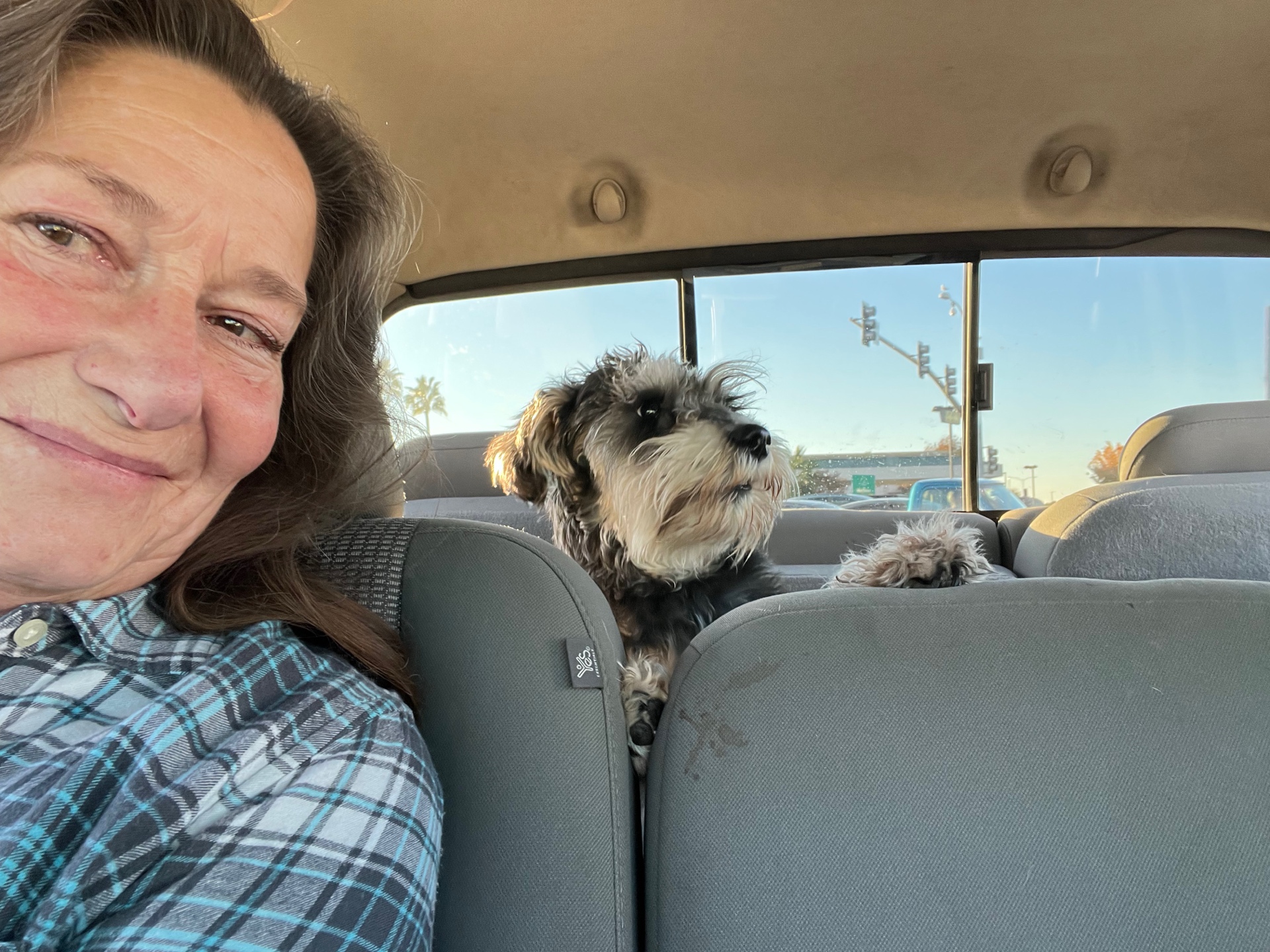 Carol on a car ride with a dog
